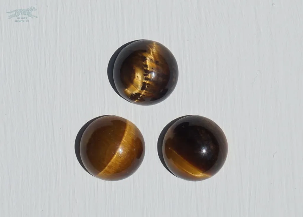 1.5" LETO Gemstone Buckle Collar