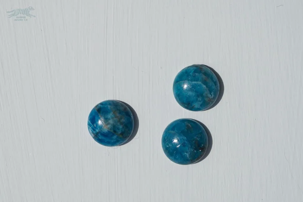 1.5" LETO Gemstone Buckle Collar