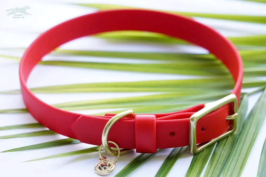 3/4" Medium Waterproof Buckle Collar