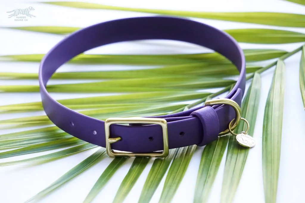 3/4" Medium Waterproof Buckle Collar