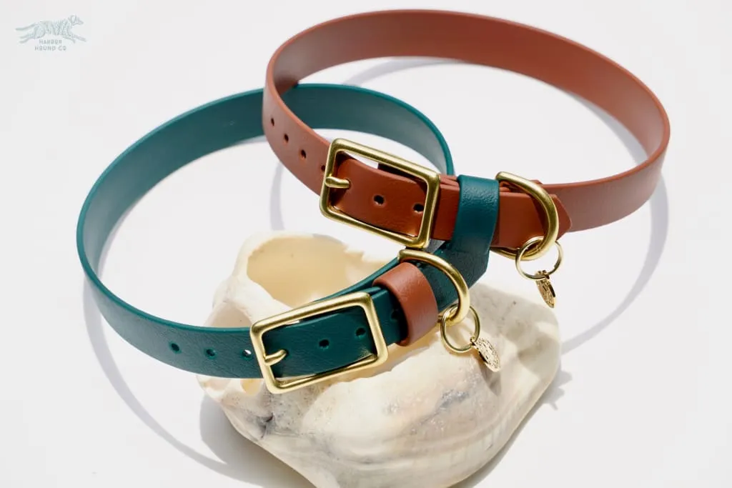 3/4" Medium Waterproof Buckle Collar