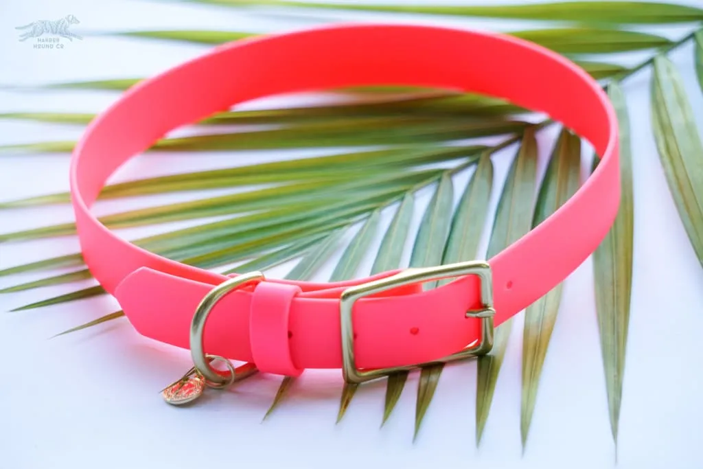 3/4" Medium Waterproof Buckle Collar