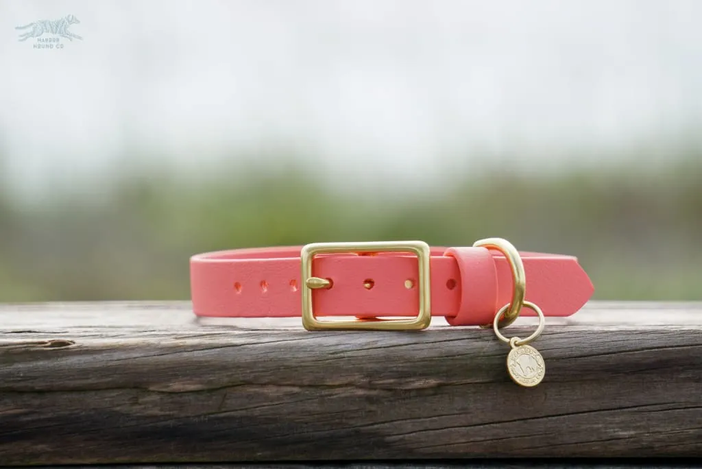 3/4" Medium Waterproof Buckle Collar