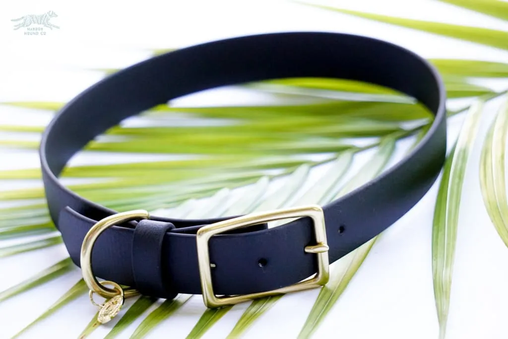 3/4" Medium Waterproof Buckle Collar