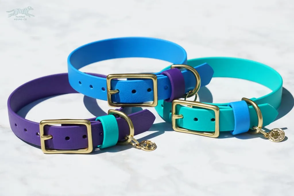 3/4" Medium Waterproof Buckle Collar