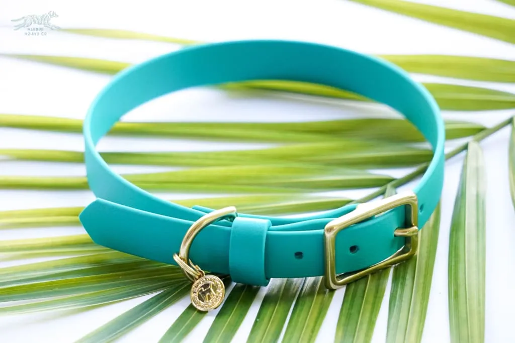 3/4" Medium Waterproof Buckle Collar