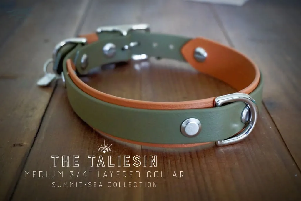 3/4" Taliesin Layered Buckle Collar