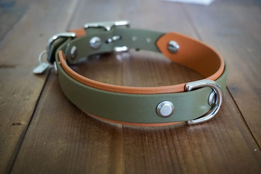 3/4" Taliesin Layered Buckle Collar