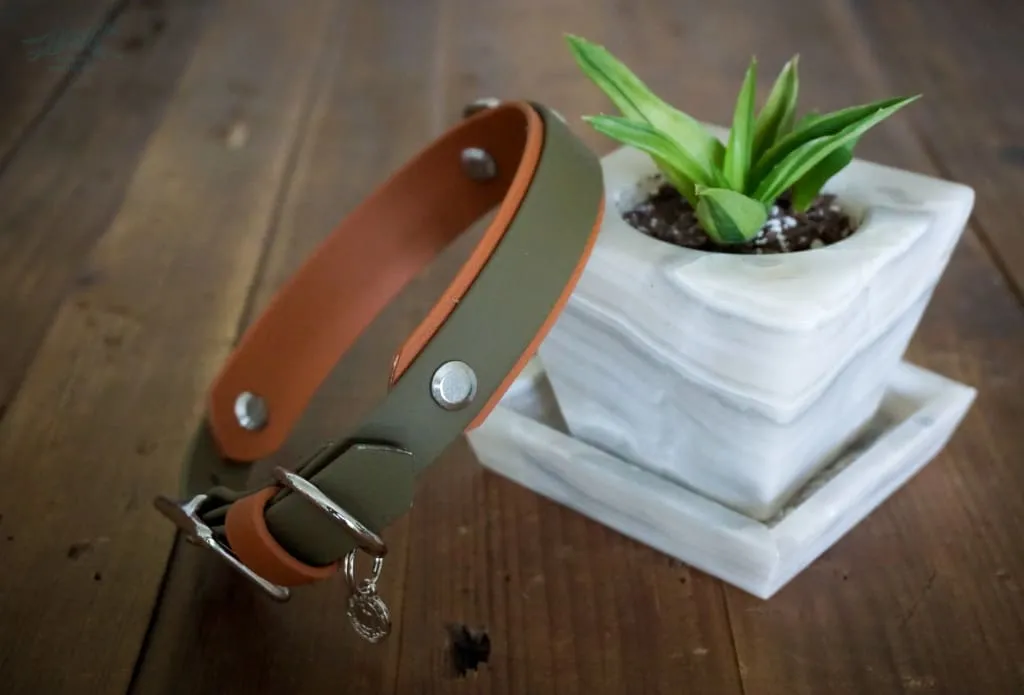 3/4" Taliesin Layered Buckle Collar