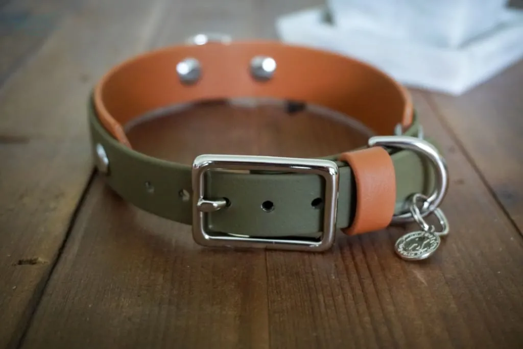 3/4" Taliesin Layered Buckle Collar