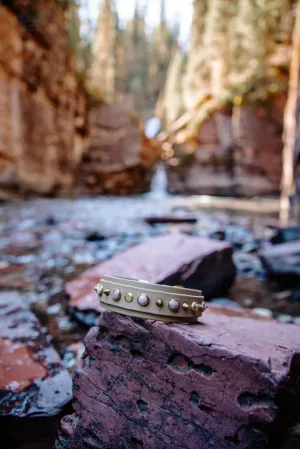 APEX 1.5" Gemstone Buckle Collar