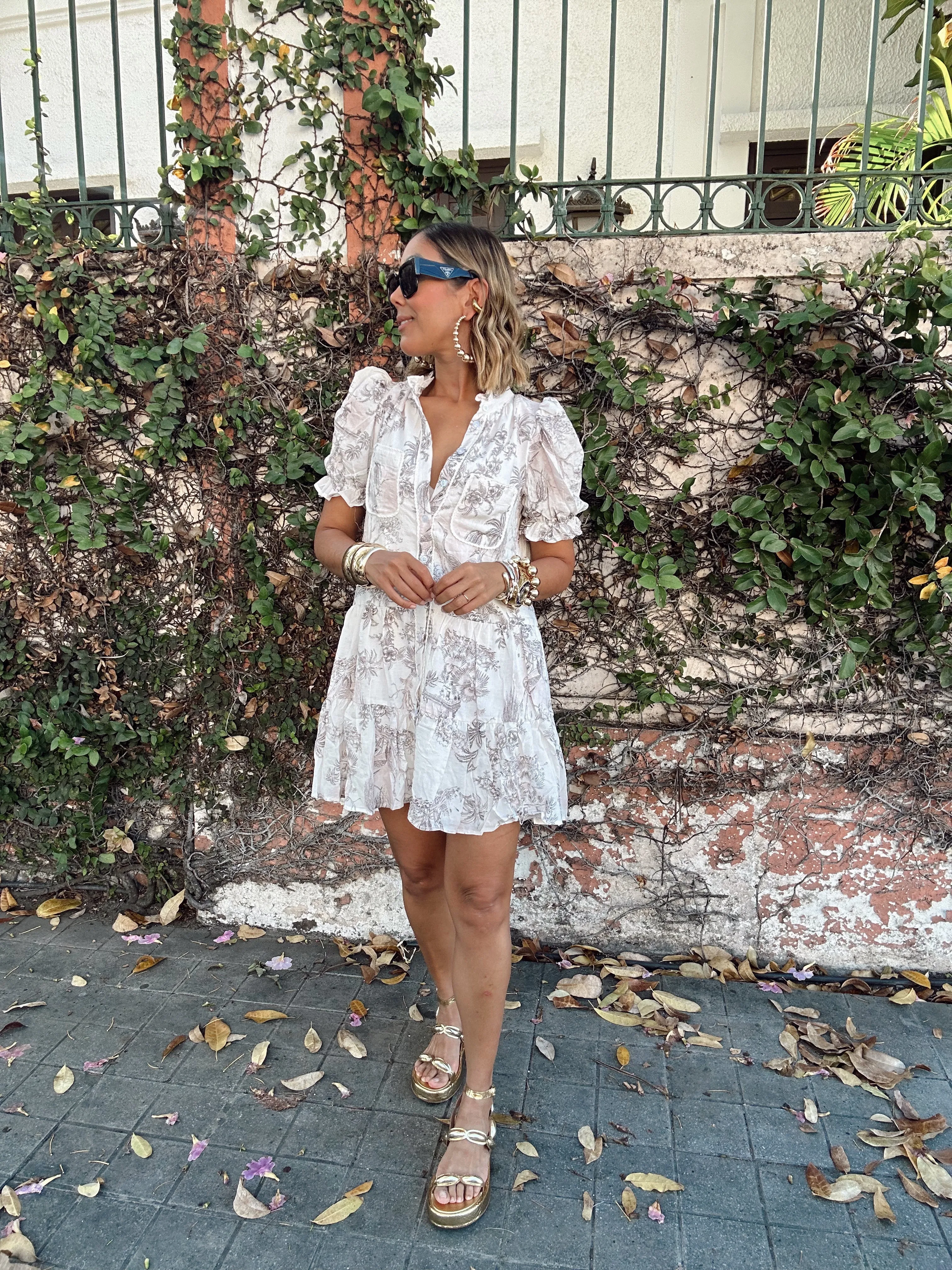 Noemi Pink Toile Printed Button Up Dress