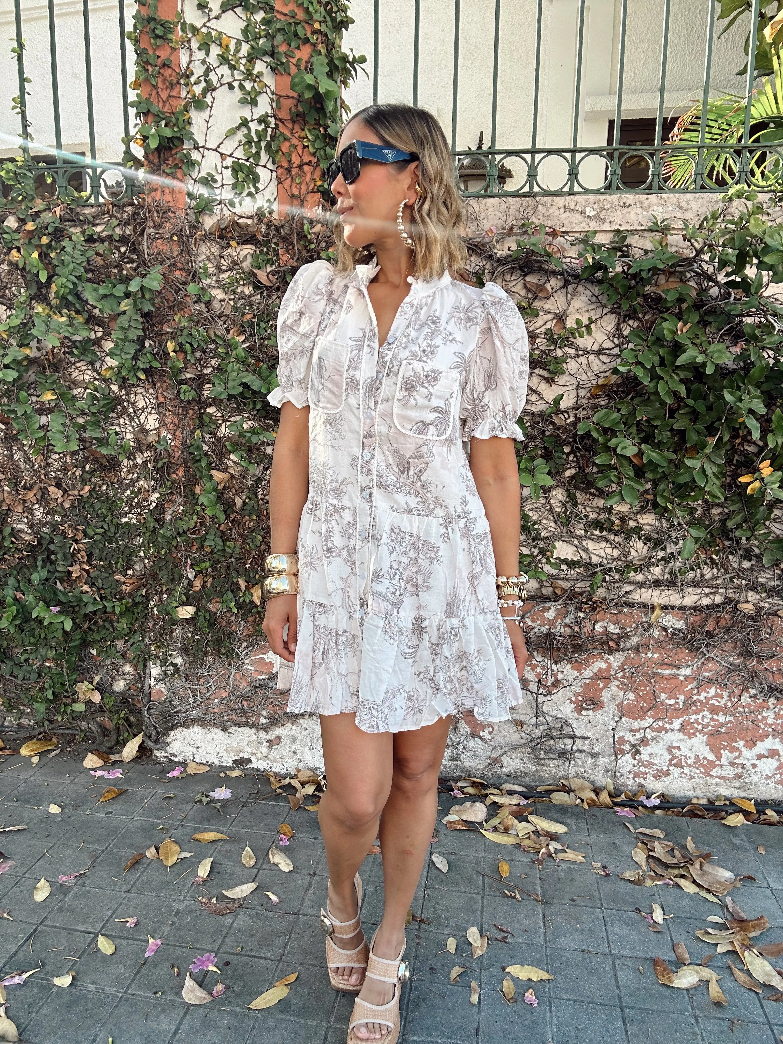 Noemi Pink Toile Printed Button Up Dress