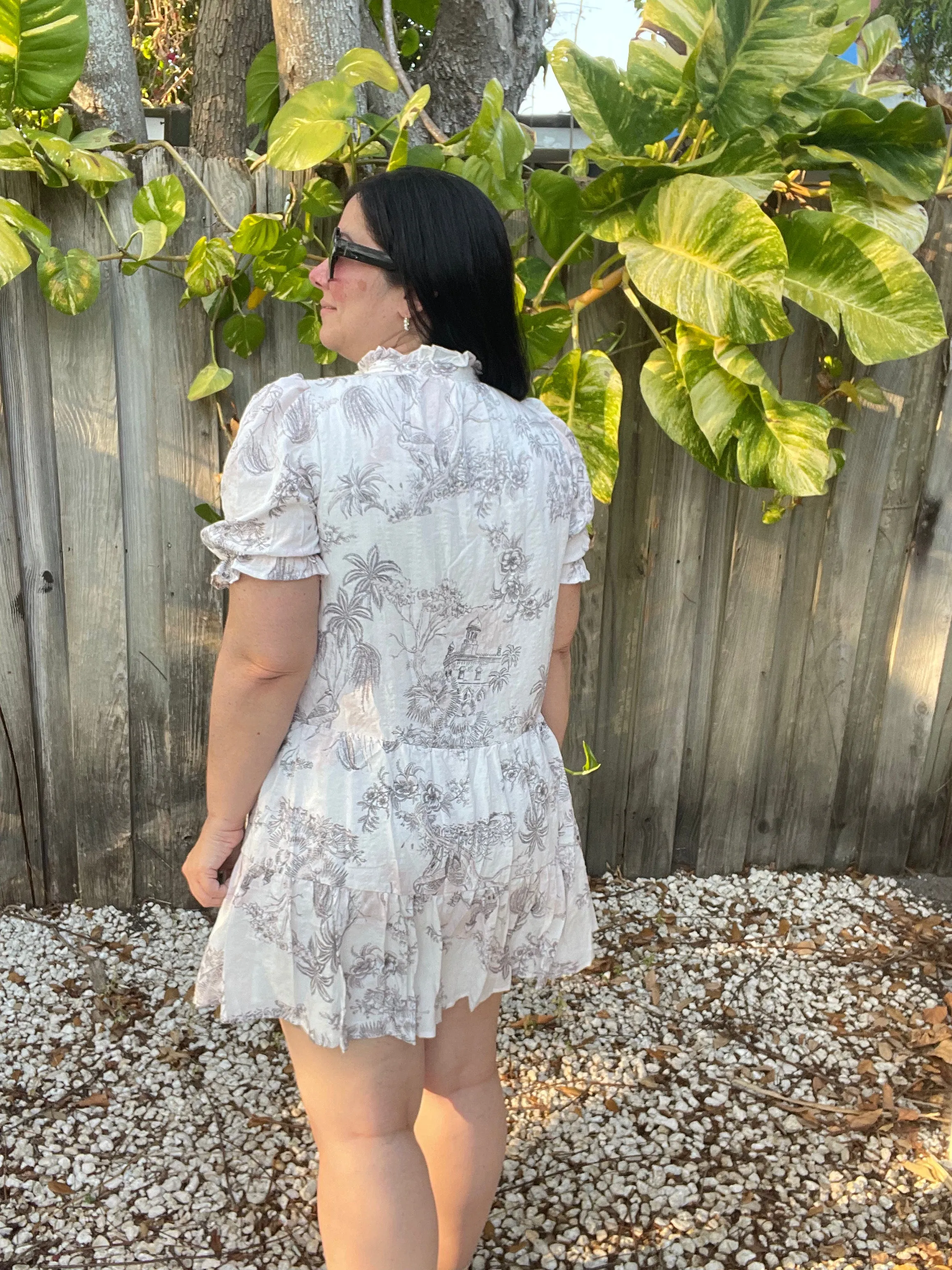 Noemi Pink Toile Printed Button Up Dress