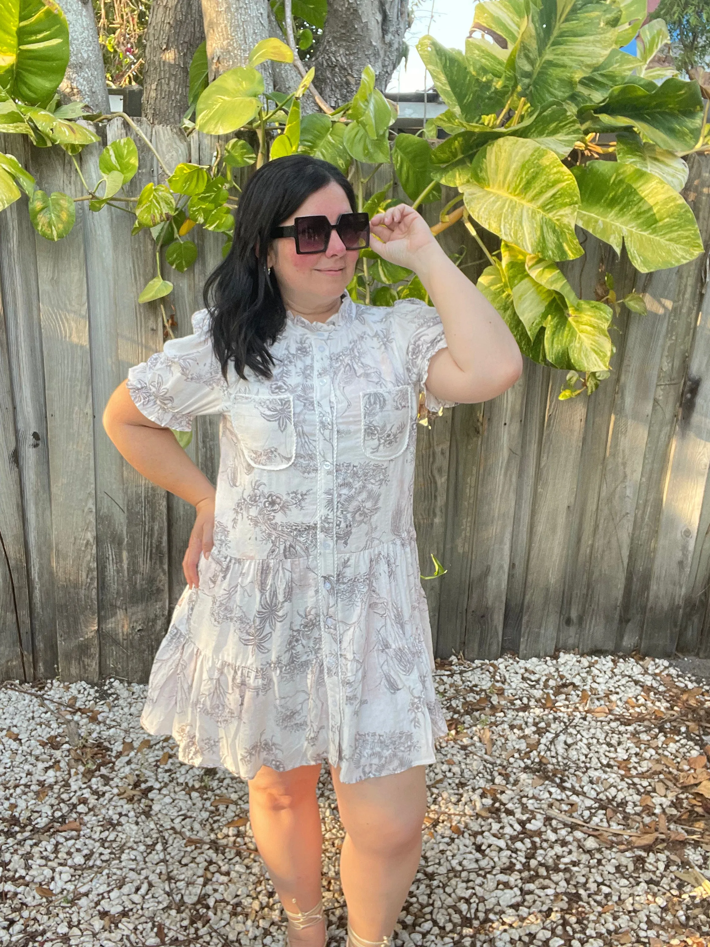 Noemi Pink Toile Printed Button Up Dress
