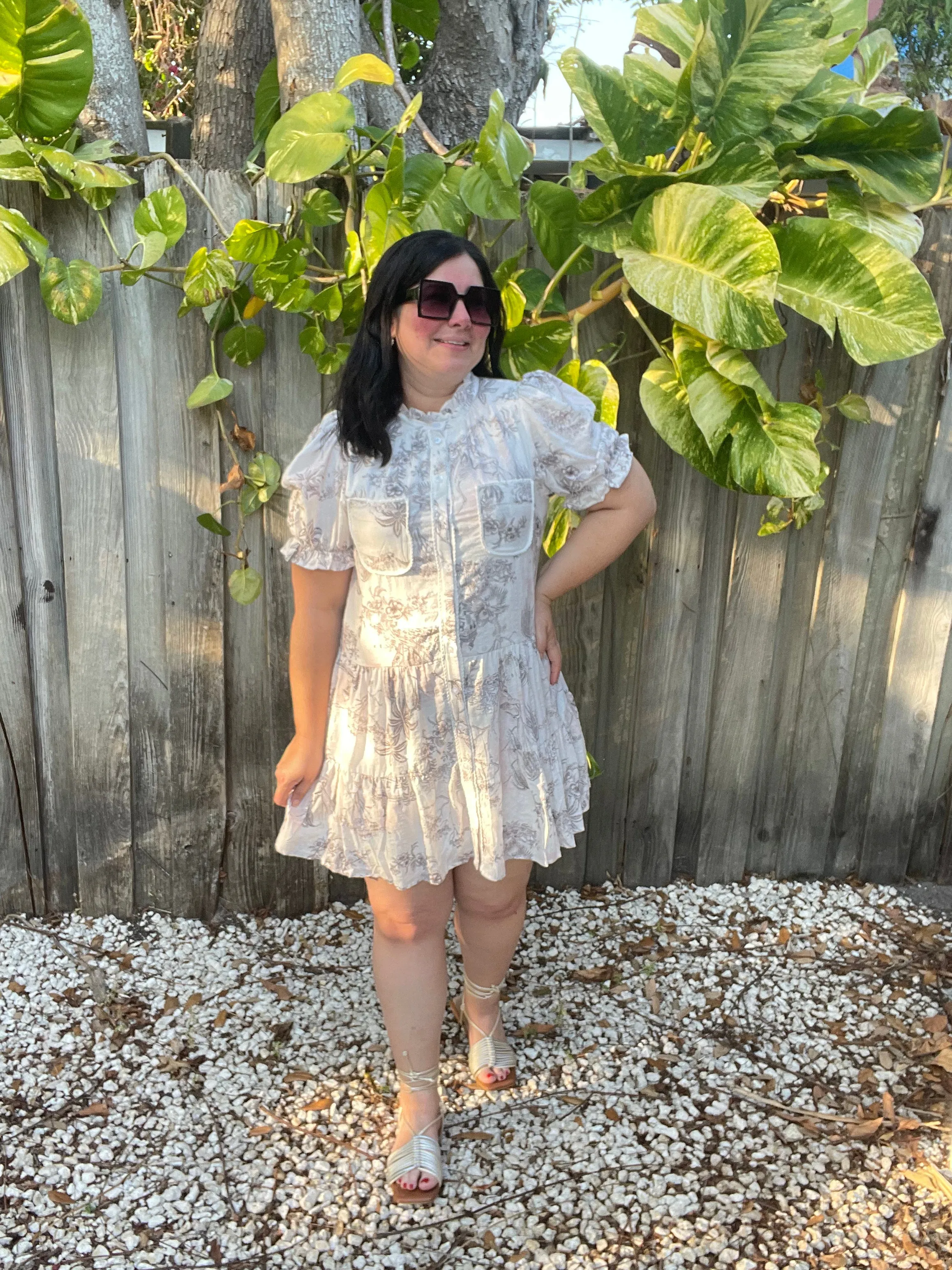 Noemi Pink Toile Printed Button Up Dress