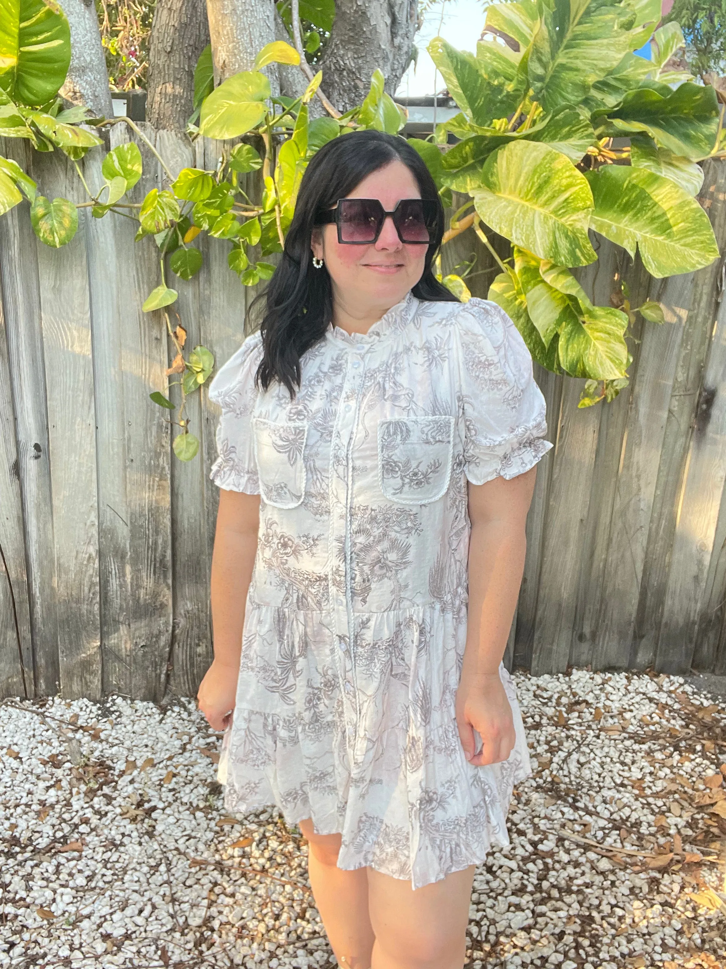 Noemi Pink Toile Printed Button Up Dress