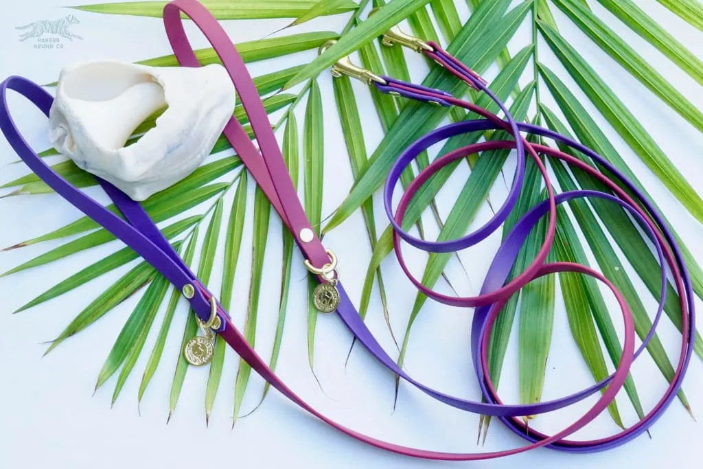Small 1/2" Two-Tone Waterproof Leash
