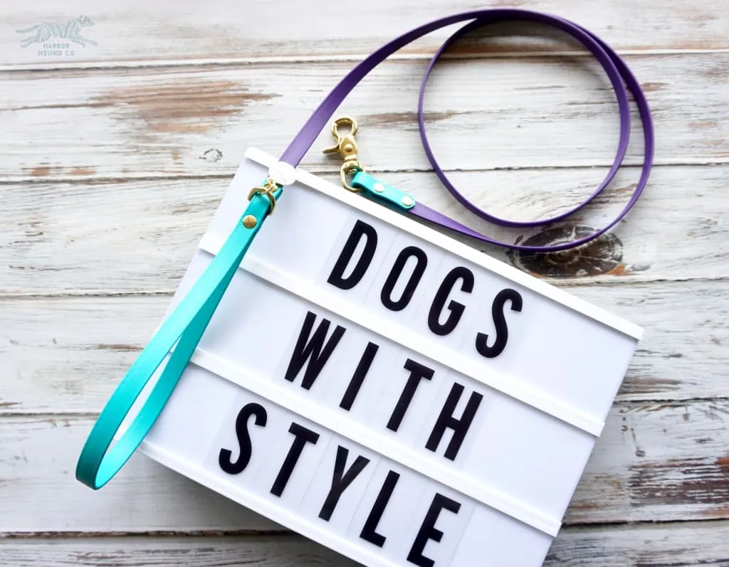Small 1/2" Two-Tone Waterproof Leash