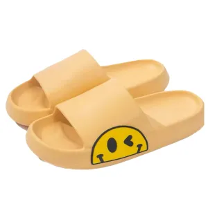 Smiley Wink Slides