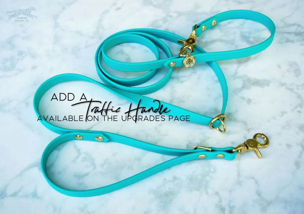 The ODYSSEY, The Original Dual-Ring Adjustable Leash