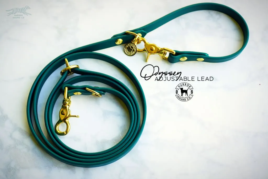 The ODYSSEY, The Original Dual-Ring Adjustable Leash