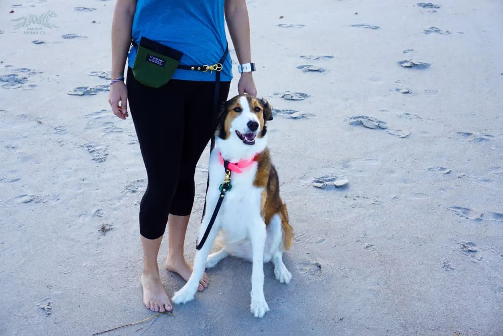 The ODYSSEY, The Original Dual-Ring Adjustable Leash