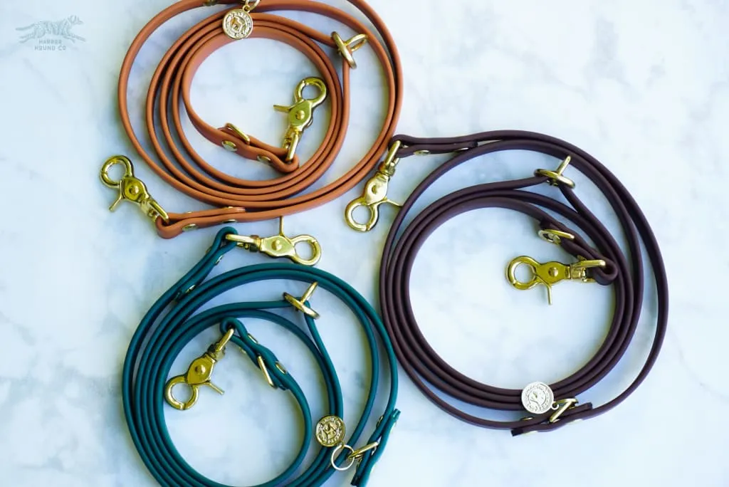 The ODYSSEY, The Original Dual-Ring Adjustable Leash