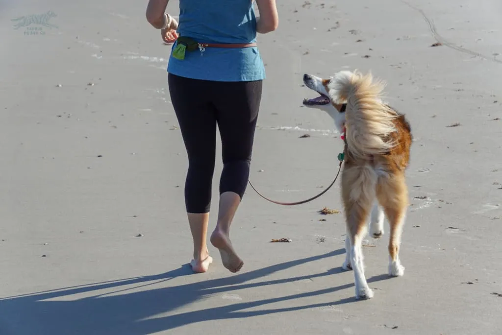 The ODYSSEY, The Original Dual-Ring Adjustable Leash