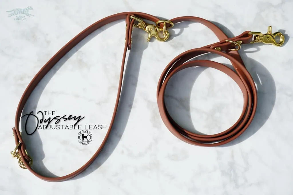 The ODYSSEY, The Original Dual-Ring Adjustable Leash