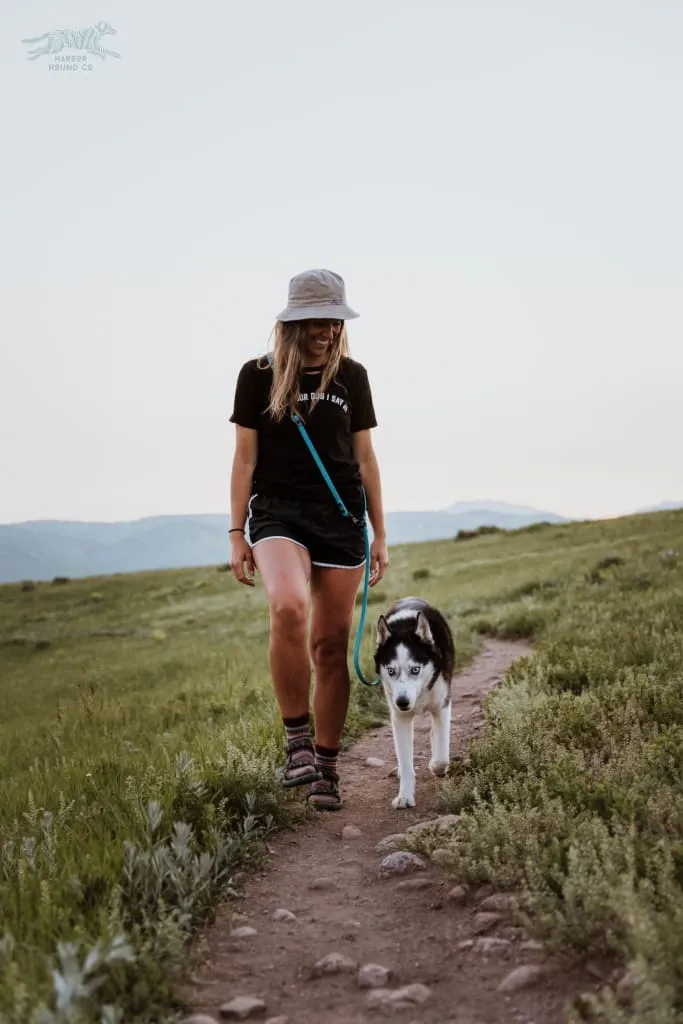 The ODYSSEY, The Original Dual-Ring Adjustable Leash