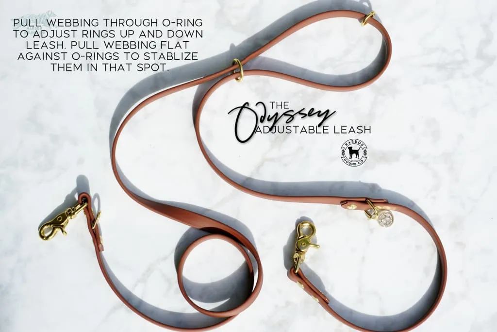 The ODYSSEY, The Original Dual-Ring Adjustable Leash