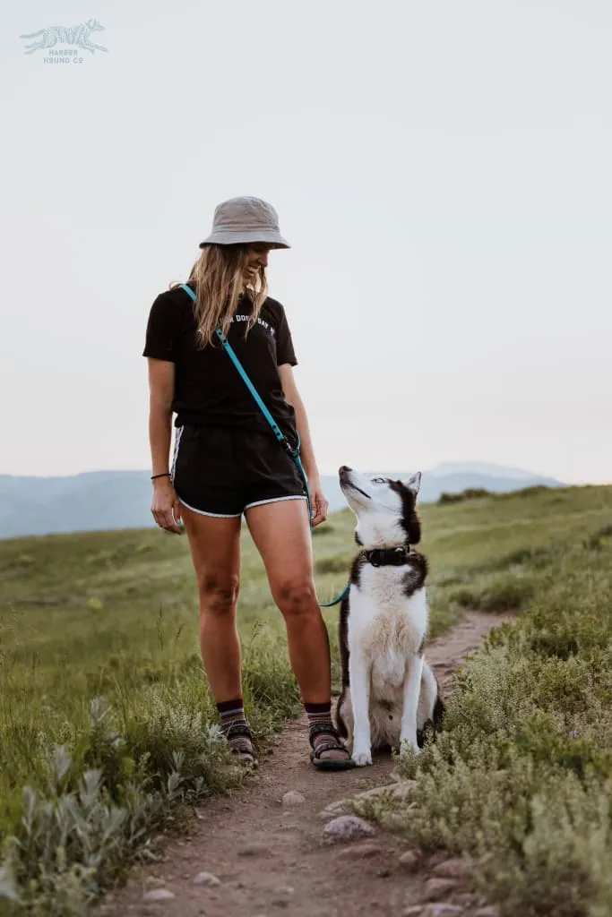 The ODYSSEY, The Original Dual-Ring Adjustable Leash