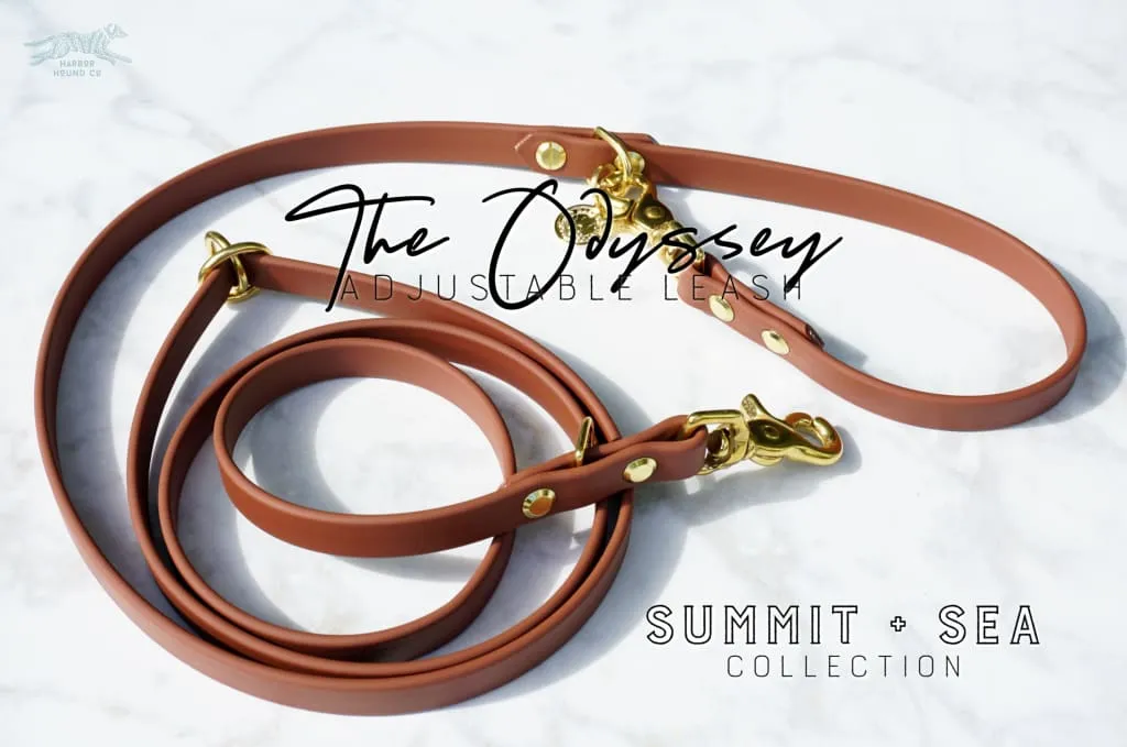 The ODYSSEY, The Original Dual-Ring Adjustable Leash