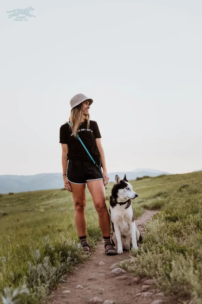The ODYSSEY, The Original Dual-Ring Adjustable Leash